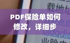 PDF保险单修改指南，步骤与注意事项全解析