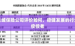 长城保险公司评价积极，行业稳健发展的佼佼者