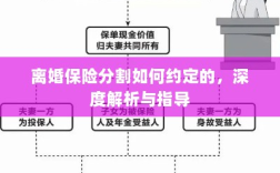 离婚保险分割深度解析与指导，约定要点及操作流程