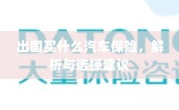 出国购车保险指南，解析与选择建议