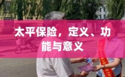 太平保险，定义、功能及其重要意义