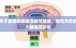 如何为大脑保驾护航，选择最佳脑部保险策略与方案