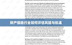 财产保险行业风险与机遇的评估策略