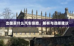 出国购车保险指南，解析与选择建议