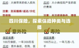 四川保险，保险种类深度解析与选择指南