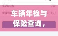 车辆年检与保险查询，一站式解决车辆管理疑虑