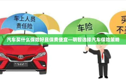 如何明智选择汽车保险策略，保障全面且保费实惠的保险推荐
