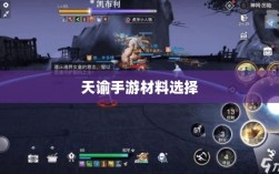 天谕手游材料选择攻略，哪些材料更具优势？全面解析！
