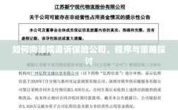 如何向法院追诉保险公司，程序与策略详解