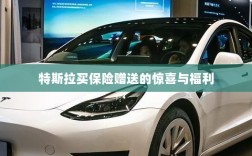 特斯拉保险购买赠品与惊喜福利概述