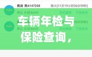 车辆年检与保险查询，全面指南解析