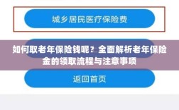 全面解析，老年保险金的领取流程与注意事项指南——如何顺利领取老年保险金？