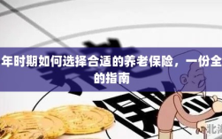 中年时期如何选择养老保险，全面指南
