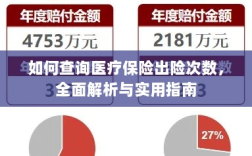 医疗保险出险次数查询指南，全面解析与实用查询方法