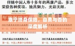 康宁终身保险，自费与否的全面解析与探讨