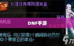 DNF手游代练探寻及相关探讨