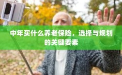 中年养老保险选择与规划的关键要素解析