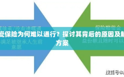 陶瓷保险难通行背后的原因与解决方案探讨