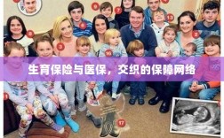 生育保险与医保，交织的保障网络探秘