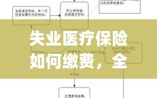 全面解读失业医疗保险缴费流程与注意事项