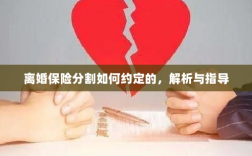 离婚保险分割约定详解与指导手册