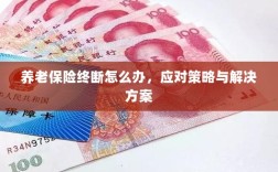 养老保险中断应对指南，解决方案与策略
