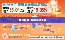 四川保险，探索全方位保障之路