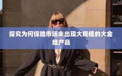 探究保险市场未出现大规模大金险产品的原因