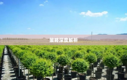 苗木基地融资策略深度解析