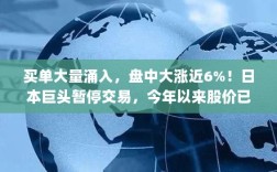 日本巨头股价震荡，买单激增暂停交易，今年以来股价跌近17%
