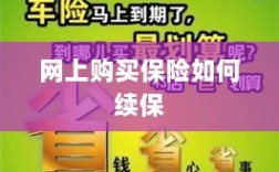 网上购买保险的续保指南
