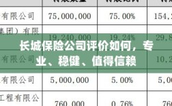 长城保险公司评价，专业、稳健、值得信赖的保险选择