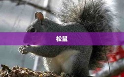 三只松鼠年度营收重返百亿元，股价走低之际筹划赴港上市之路
