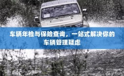 车辆年检与保险查询，一站式解决车辆管理所有疑虑