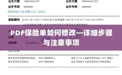 PDF保险单修改指南，步骤详解及注意事项