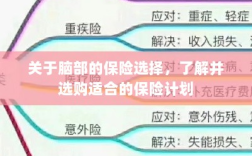 如何选择脑部保险计划，了解并选购适合的保险方案