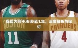 深度解析与探讨，保险承诺期限的隐衷与考量