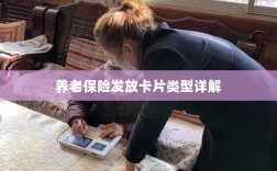 养老保险发放卡片类型全面解析