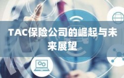 TAC保险公司的崛起及未来展望