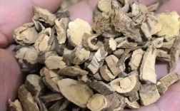 男子煎服山豆根中毒，医生提醒，偏方不可盲目相信