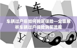 车辆过户后保险购买指南，全面解析车辆过户保险购买流程