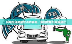 纯电车保险省钱攻略，如何找到更便宜的保险与实用建议