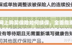 网上购买保险的续保指南，全面解析保险续保流程