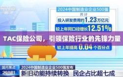 TAC保险公司，引领保险行业的先锋典范
