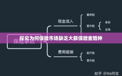 保险市场大额保险金险种缺失原因探究