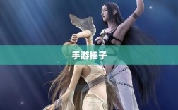 手游棒子释义与概述