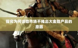 探究保险市场未推出大金险产品的原因分析