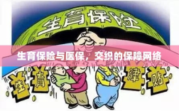生育保险与医保，交织的保障网络探秘