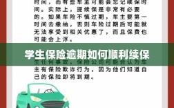 学生保险逾期续保攻略，顺利过渡无忧保障