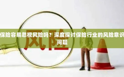 保险行业风险意识探讨，不容忽视的风险与挑战